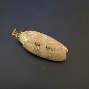 Vintage GoldTone 2” Shell Pendant